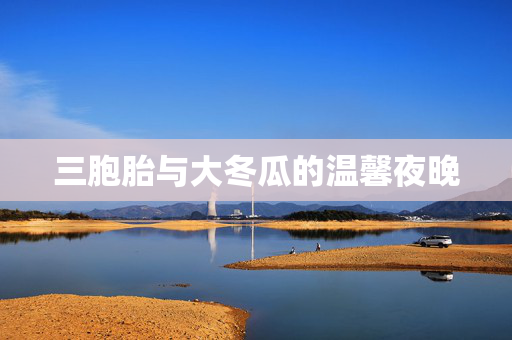 三胞胎与大冬瓜的温馨夜晚