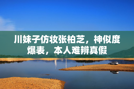 川妹子仿妆张柏芝，神似度爆表，本人难辨真假