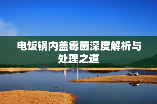 电饭锅内盖霉菌深度解析与处理之道