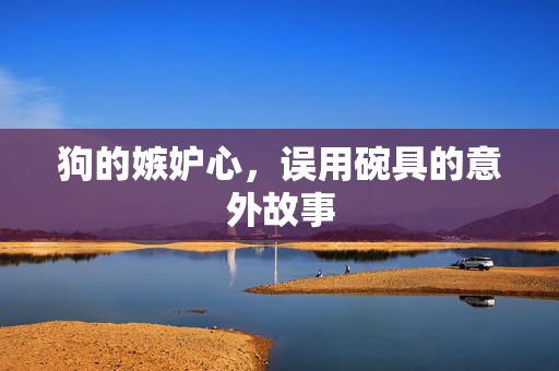 狗的嫉妒心，误用碗具的意外故事