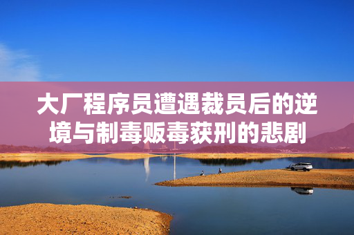 大厂程序员遭遇裁员后的逆境与制毒贩毒获刑的悲剧