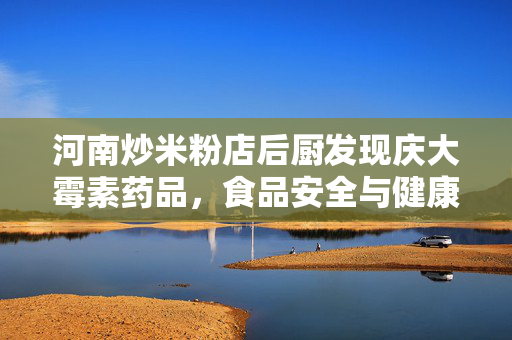 河南炒米粉店后厨发现庆大霉素药品，食品安全与健康保障的双重审视