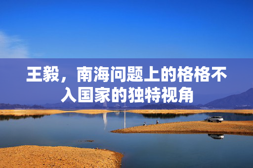 王毅，南海问题上的格格不入国家的独特视角