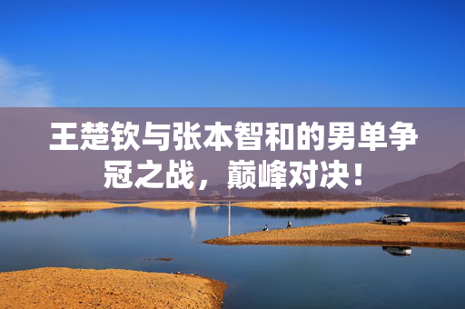王楚钦与张本智和的男单争冠之战，巅峰对决！