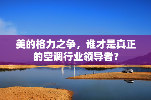 美的格力之争，谁才是真正的空调行业领导者？