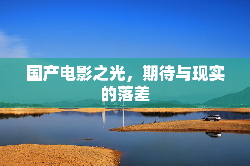 国产电影之光，期待与现实的落差
