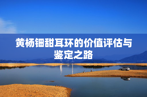 黄杨钿甜耳环的价值评估与鉴定之路