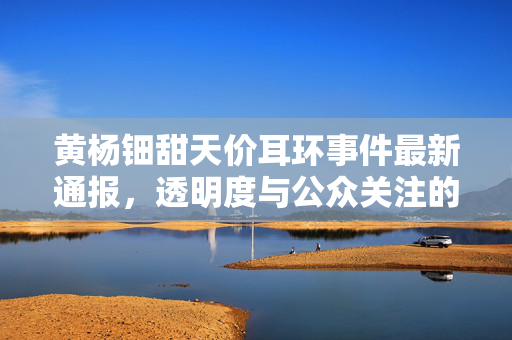 黄杨钿甜天价耳环事件最新通报，透明度与公众关注的对话