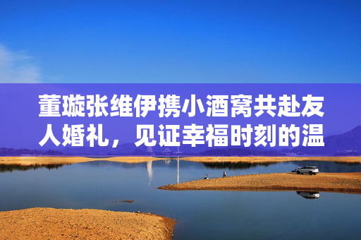 董璇张维伊携小酒窝共赴友人婚礼，见证幸福时刻的温馨之旅