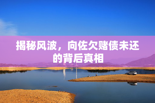 揭秘风波，向佐欠赌债未还的背后真相