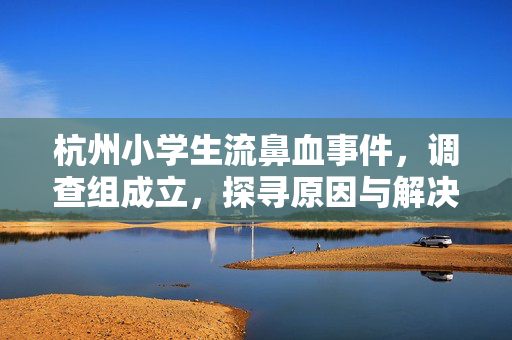 杭州小学生流鼻血事件，调查组成立，探寻原因与解决方案