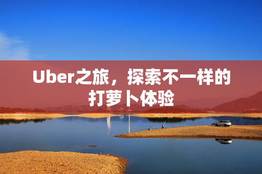 Uber之旅，探索不一样的打萝卜体验