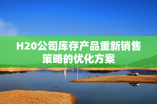 H20公司库存产品重新销售策略的优化方案