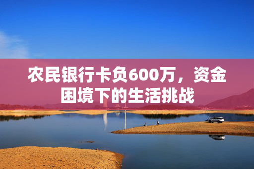 农民银行卡负600万，资金困境下的生活挑战