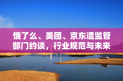 饿了么、美团、京东遭监管部门约谈，行业规范与未来展望