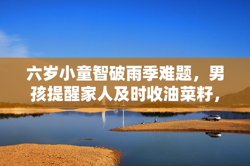 六岁小童智破雨季难题，男孩提醒家人及时收油菜籽，成功避过一场雨的忧虑