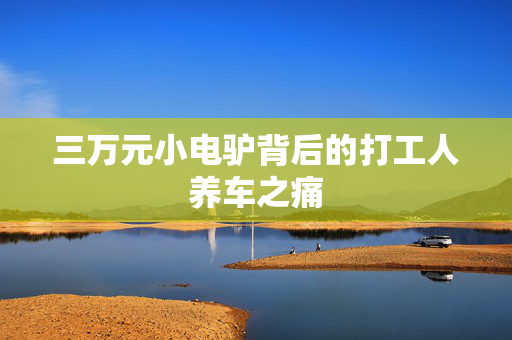 三万元小电驴背后的打工人养车之痛