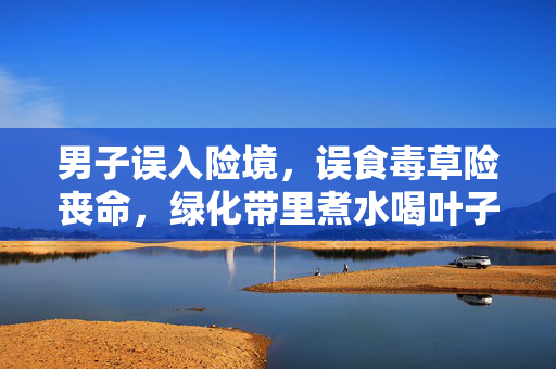 男子误入险境，误食毒草险丧命，绿化带里煮水喝叶子惊魂记