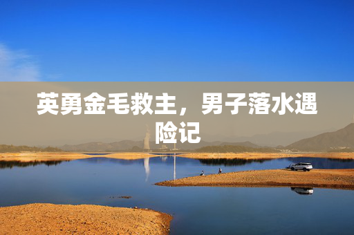 英勇金毛救主，男子落水遇险记