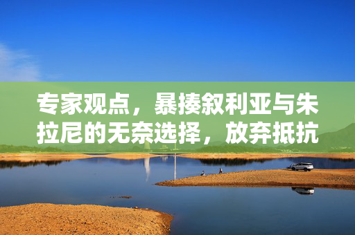 专家观点，暴揍叙利亚与朱拉尼的无奈选择，放弃抵抗的背后考量