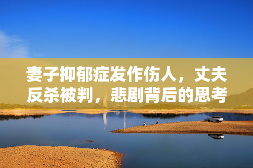 妻子抑郁症发作伤人，丈夫反杀被判，悲剧背后的思考