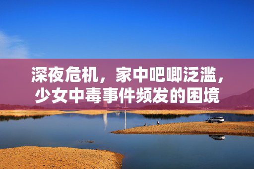 深夜危机，家中吧唧泛滥，少女中毒事件频发的困境