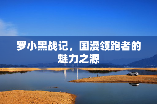 罗小黑战记，国漫领跑者的魅力之源