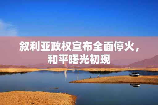 叙利亚政权宣布全面停火，和平曙光初现