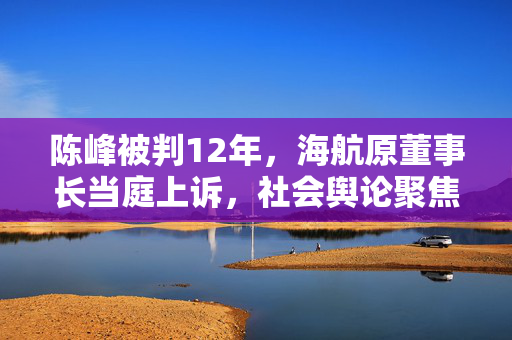 陈峰被判12年，海航原董事长当庭上诉，社会舆论聚焦此案