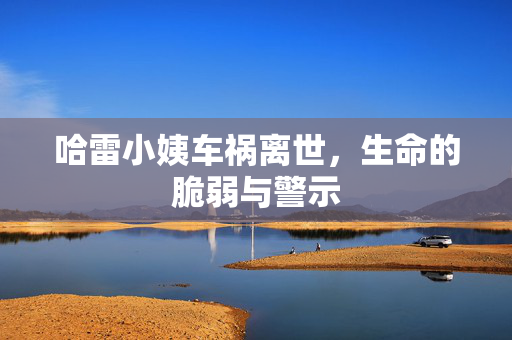 哈雷小姨车祸离世，生命的脆弱与警示