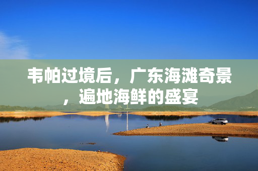 韦帕过境后，广东海滩奇景，遍地海鲜的盛宴