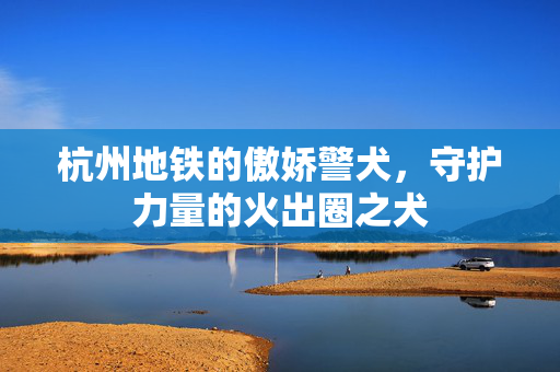 杭州地铁的傲娇警犬，守护力量的火出圈之犬