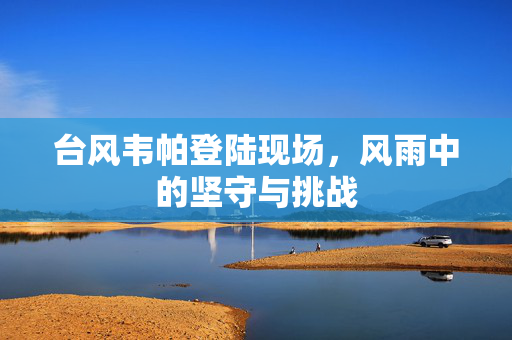台风韦帕登陆现场，风雨中的坚守与挑战