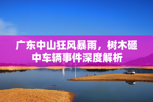 广东中山狂风暴雨，树木砸中车辆事件深度解析