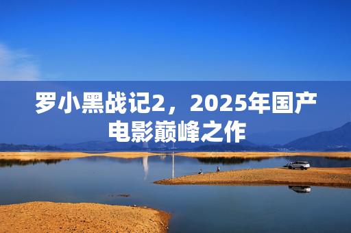 罗小黑战记2，2025年国产电影巅峰之作