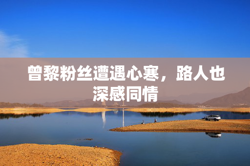 曾黎粉丝遭遇心寒，路人也深感同情