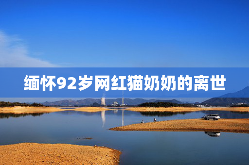 缅怀92岁网红猫奶奶的离世
