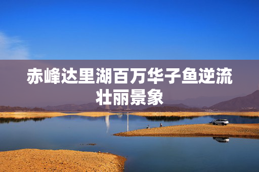 赤峰达里湖百万华子鱼逆流壮丽景象