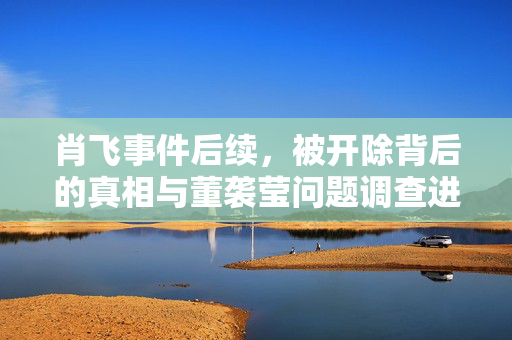 肖飞事件后续，被开除背后的真相与董袭莹问题调查进展