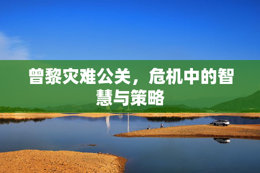曾黎灾难公关，危机中的智慧与策略