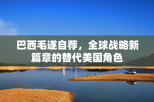 巴西毛遂自荐，全球战略新篇章的替代美国角色