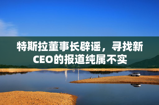 特斯拉董事长辟谣，寻找新CEO的报道纯属不实