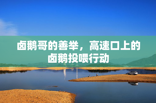 卤鹅哥的善举，高速口上的卤鹅投喂行动