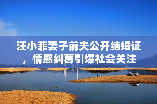 汪小菲妻子前夫公开结婚证，情感纠葛引爆社会关注