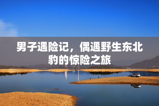 男子遇险记，偶遇野生东北豹的惊险之旅