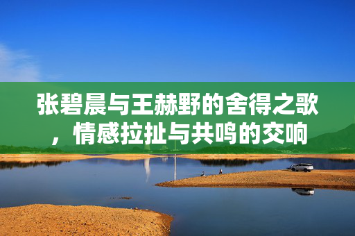 张碧晨与王赫野的舍得之歌，情感拉扯与共鸣的交响