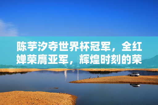 陈芋汐夺世界杯冠军，全红婵荣膺亚军，辉煌时刻的荣耀与荣耀的背后
