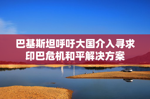 巴基斯坦呼吁大国介入寻求印巴危机和平解决方案