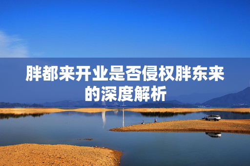 胖都来开业是否侵权胖东来的深度解析