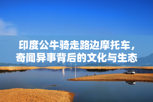 印度公牛骑走路边摩托车，奇闻异事背后的文化与生态